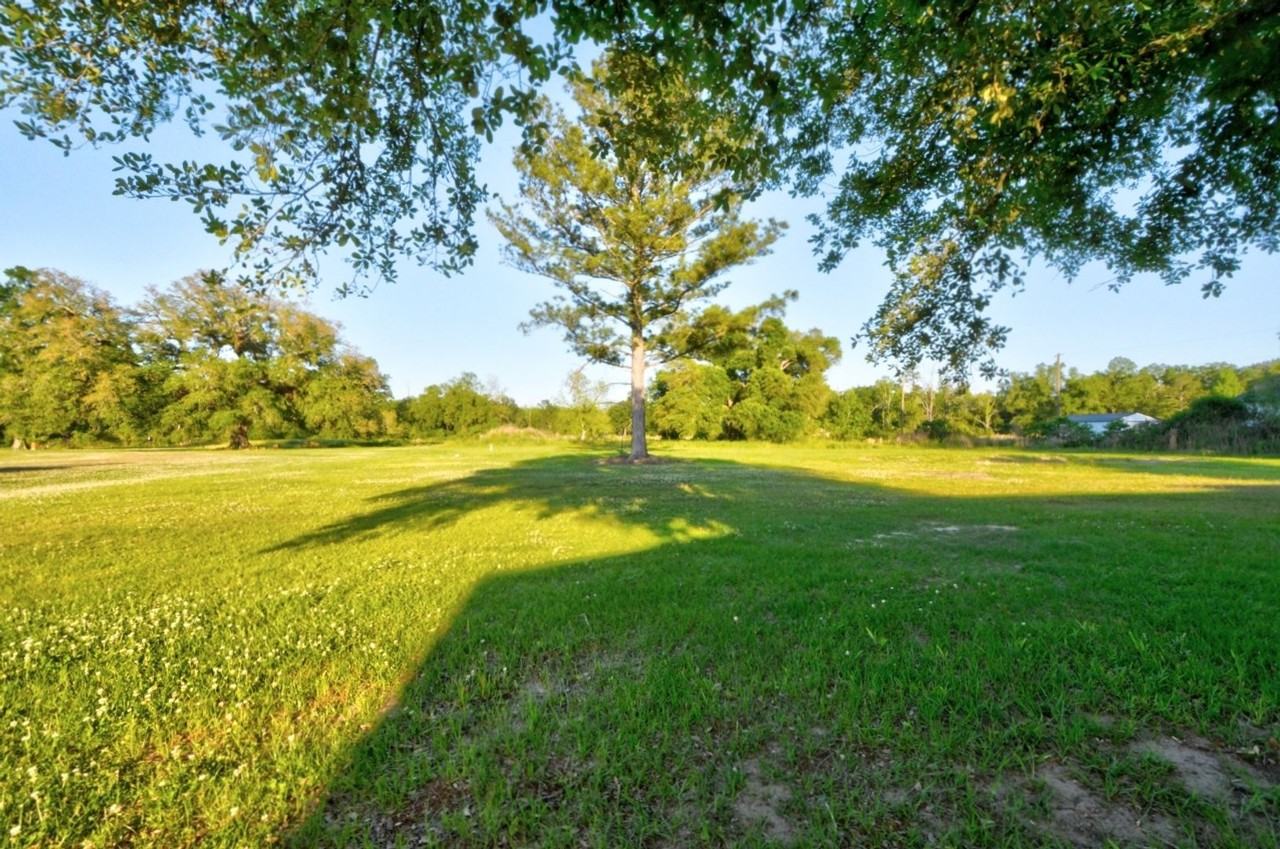 23950 Coats Rd - Photo 2 of 13