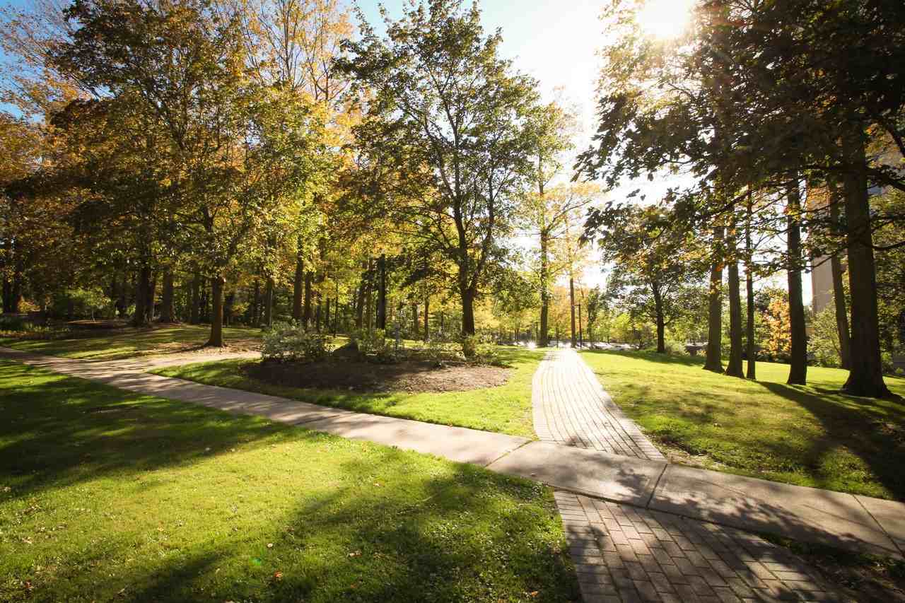 Maplegrove Apartments - Photo 3 of 17