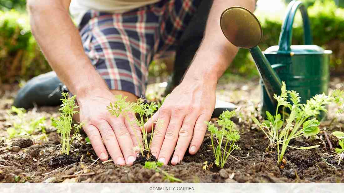 Rideau Towers - Photo 6 of 6