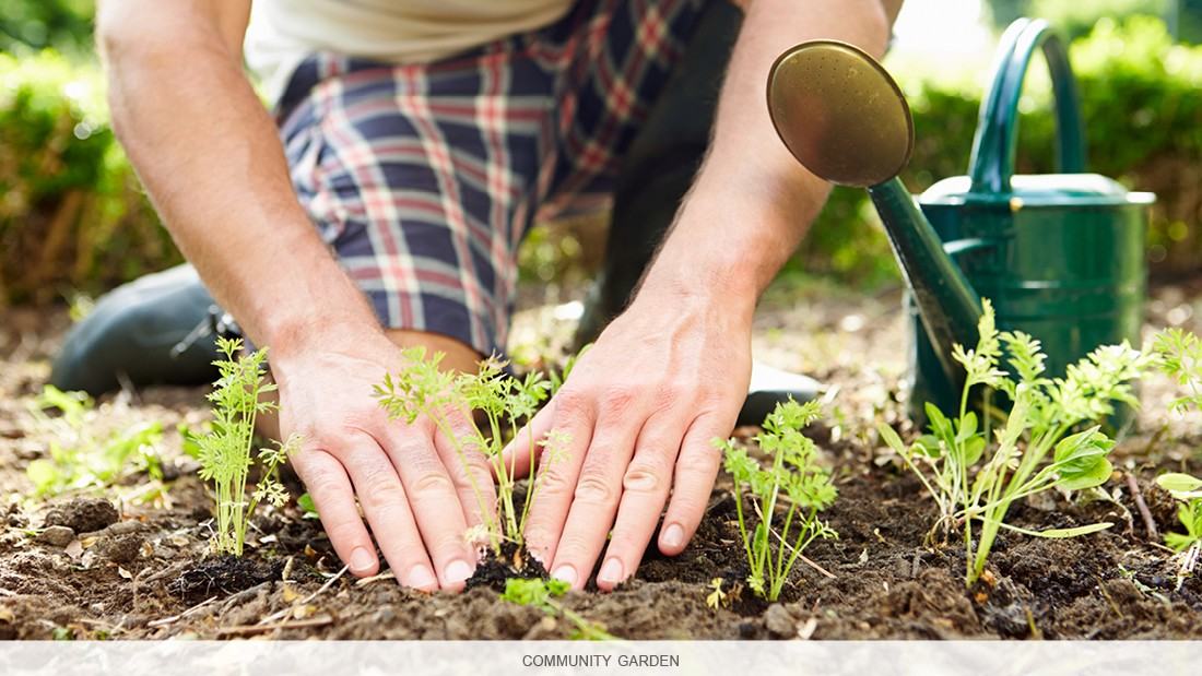 Rideau Towers - Photo 6 of 6