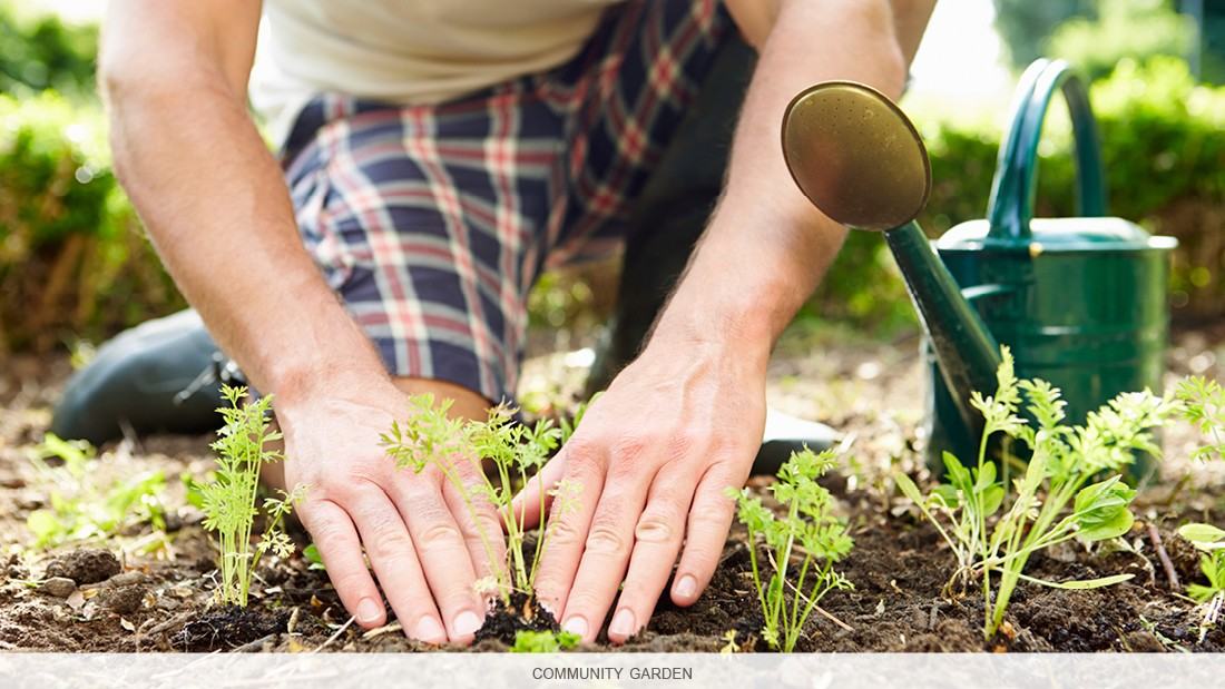 Rideau Towers - Photo 5 of 6