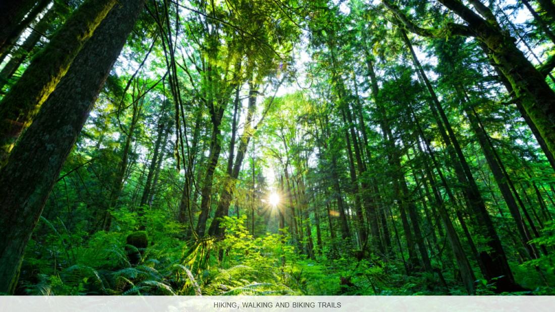 Rideau Towers - Photo 6 of 6