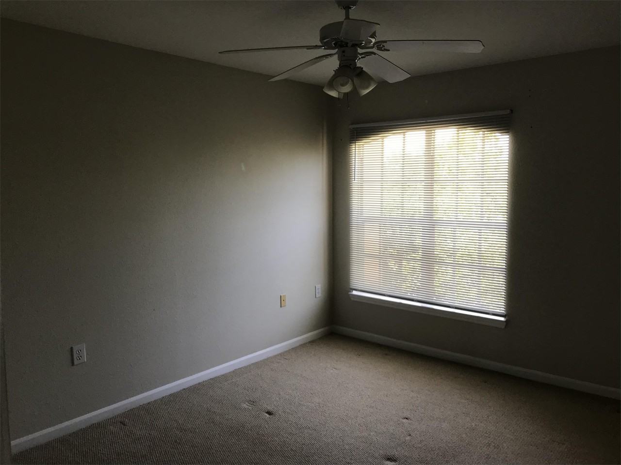 1655 The Greens Way #2431 - Photo 7 of 9