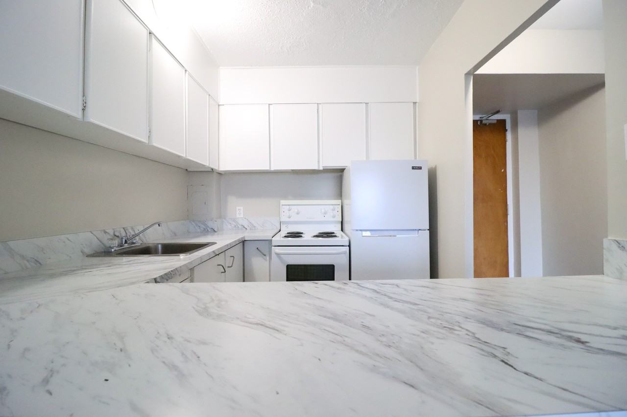 321 Waverley Street - Photo 3 of 17