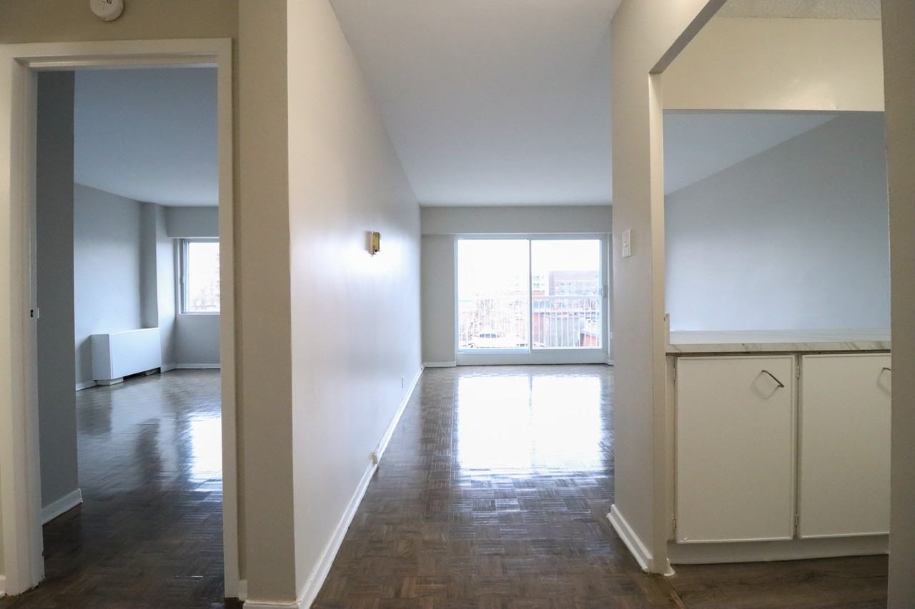 321 Waverley Street - Photo 5 of 17