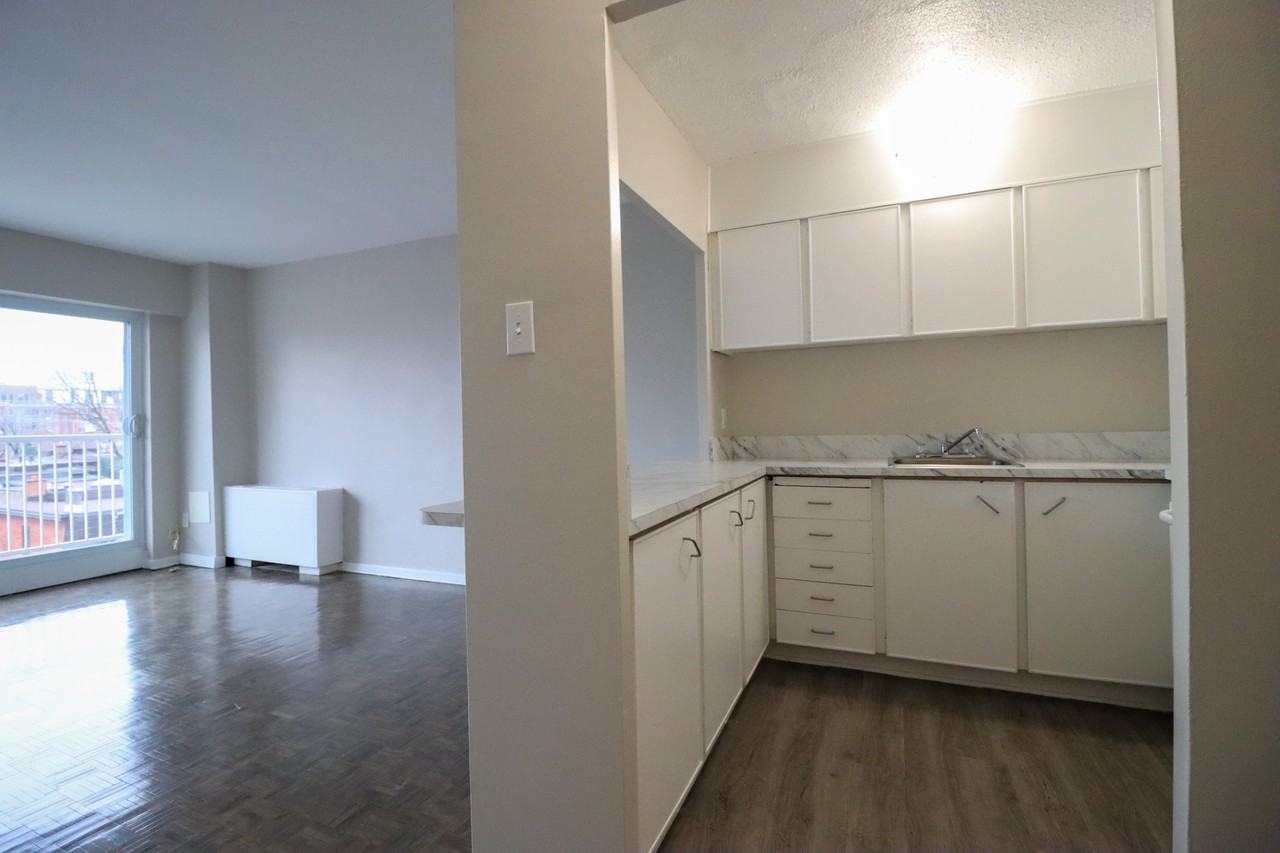 321 Waverley Street - Photo 5 of 15