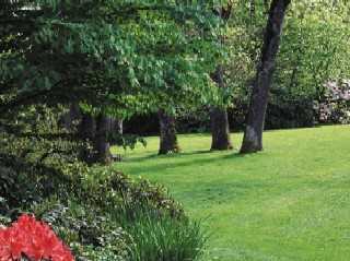 Laurier House - Photo 6 of 11