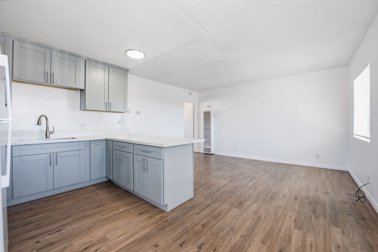 3640 Pio Pico Drive - Photo 6 of 22