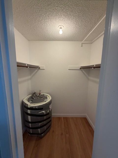 1413 Catherine Street - Photo 6 of 6