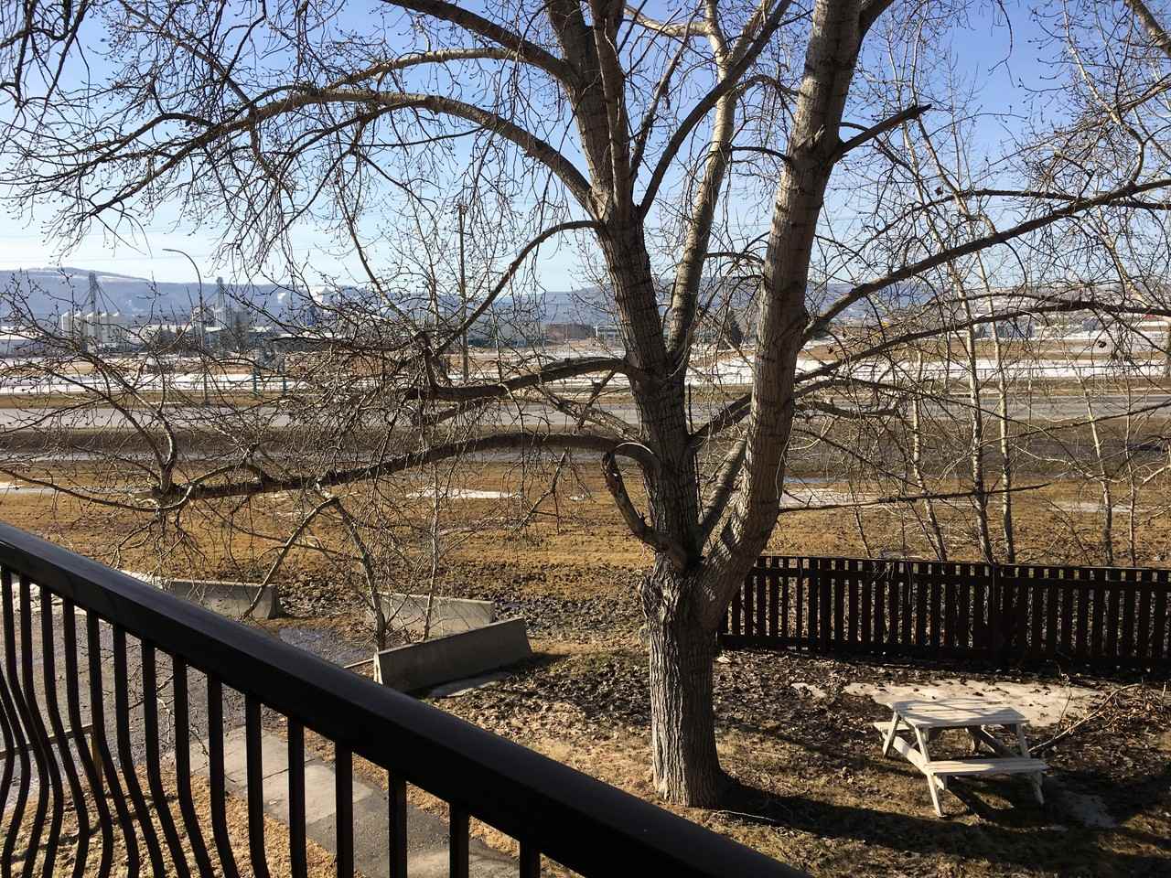 Spruce Manor - Photo 7 of 10