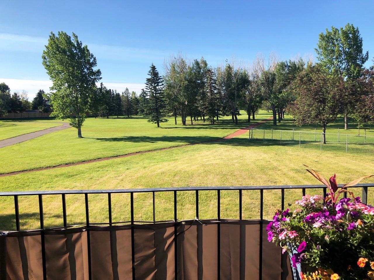 Princeton Place - Photo 4 of 19