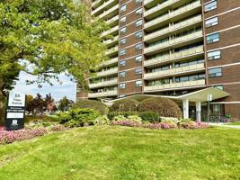 featured image of 55 Triller Ave
