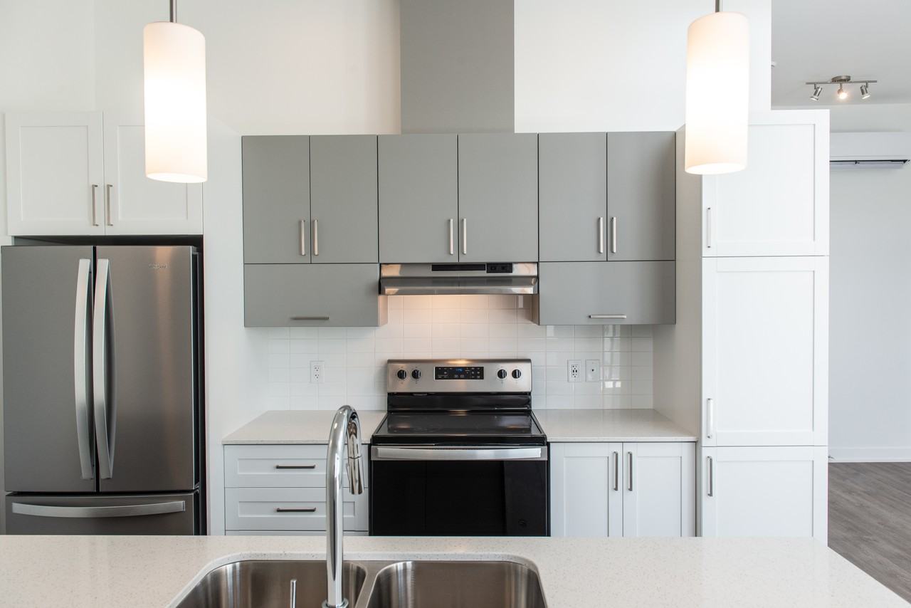 703 Boul Du Plateau — photo 3