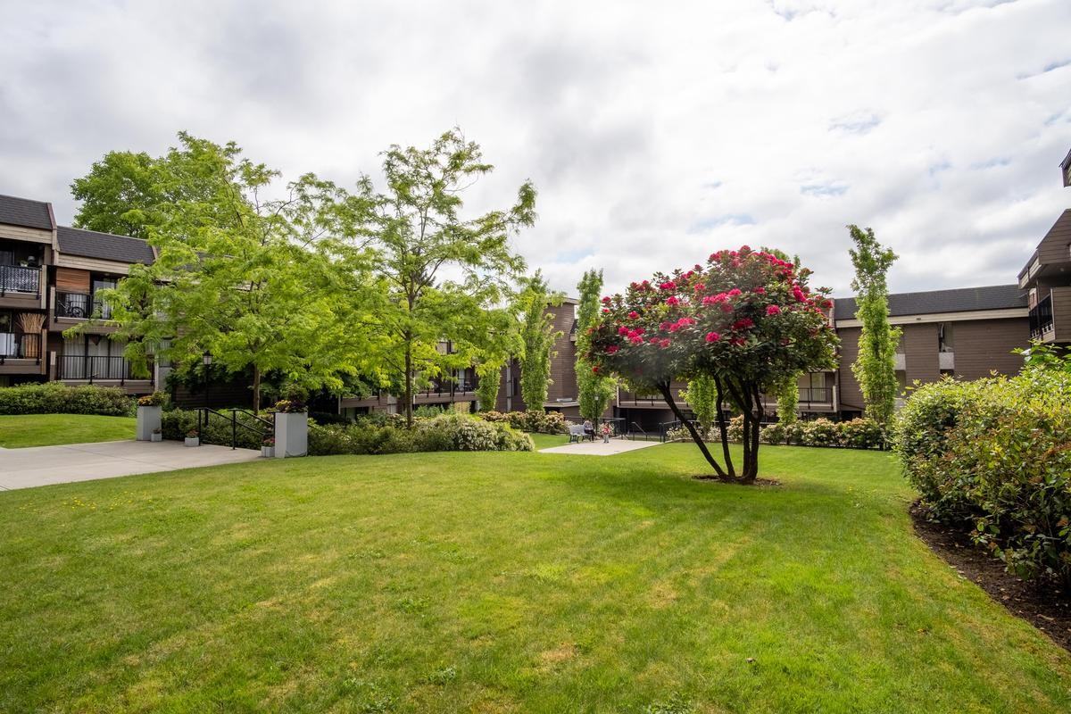 720 Queens Avenue - Photo 5 of 15