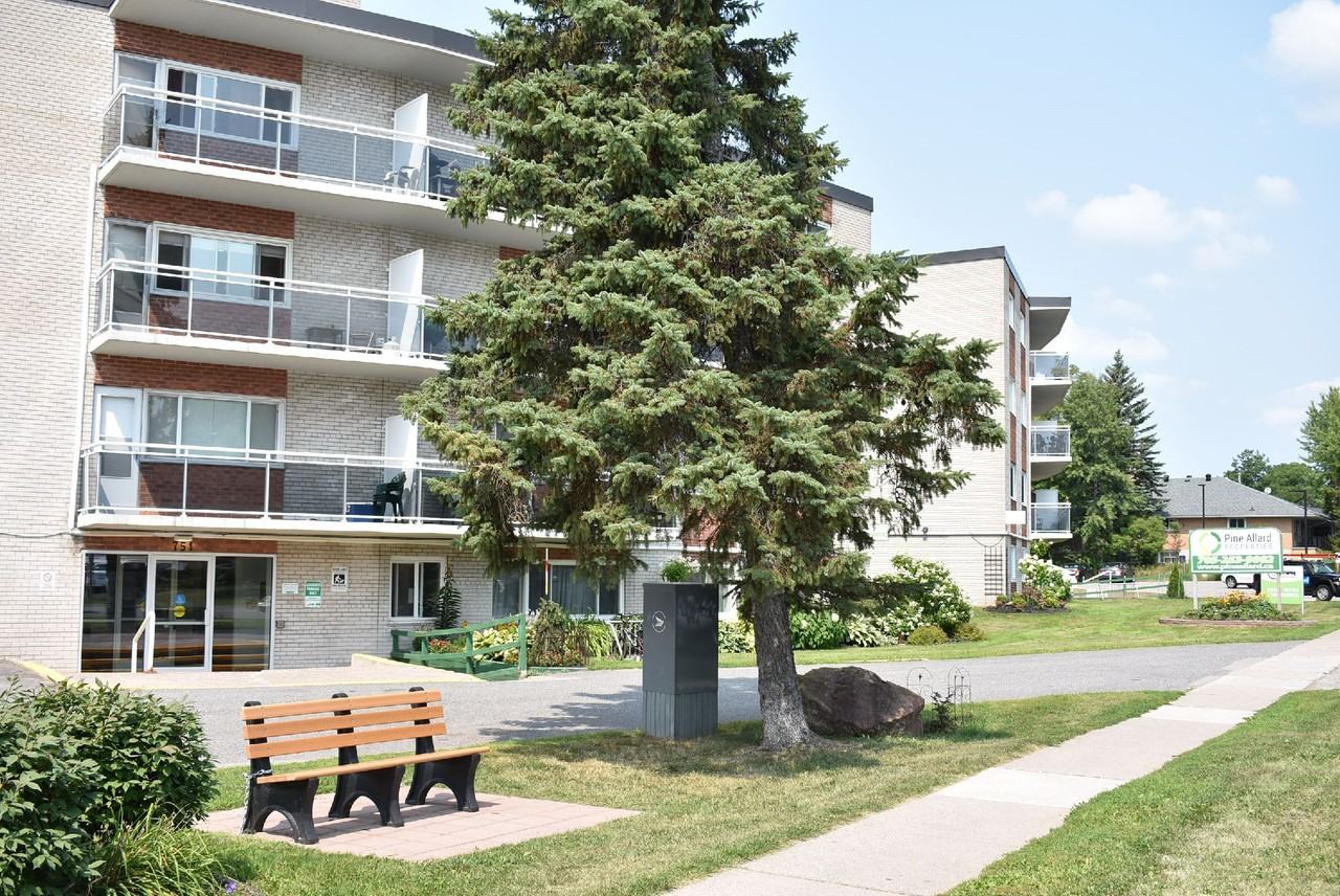 Pine Allard Properties - Photo 6 of 37