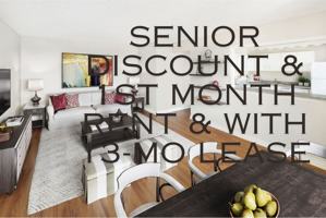 featured image of 125 5th Ave N