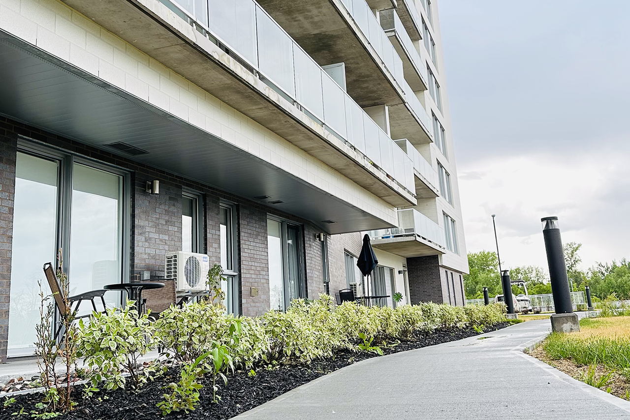 Loumii - Photo 3 of 15