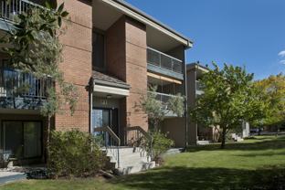 Raintree Village - Photo 1 of 1