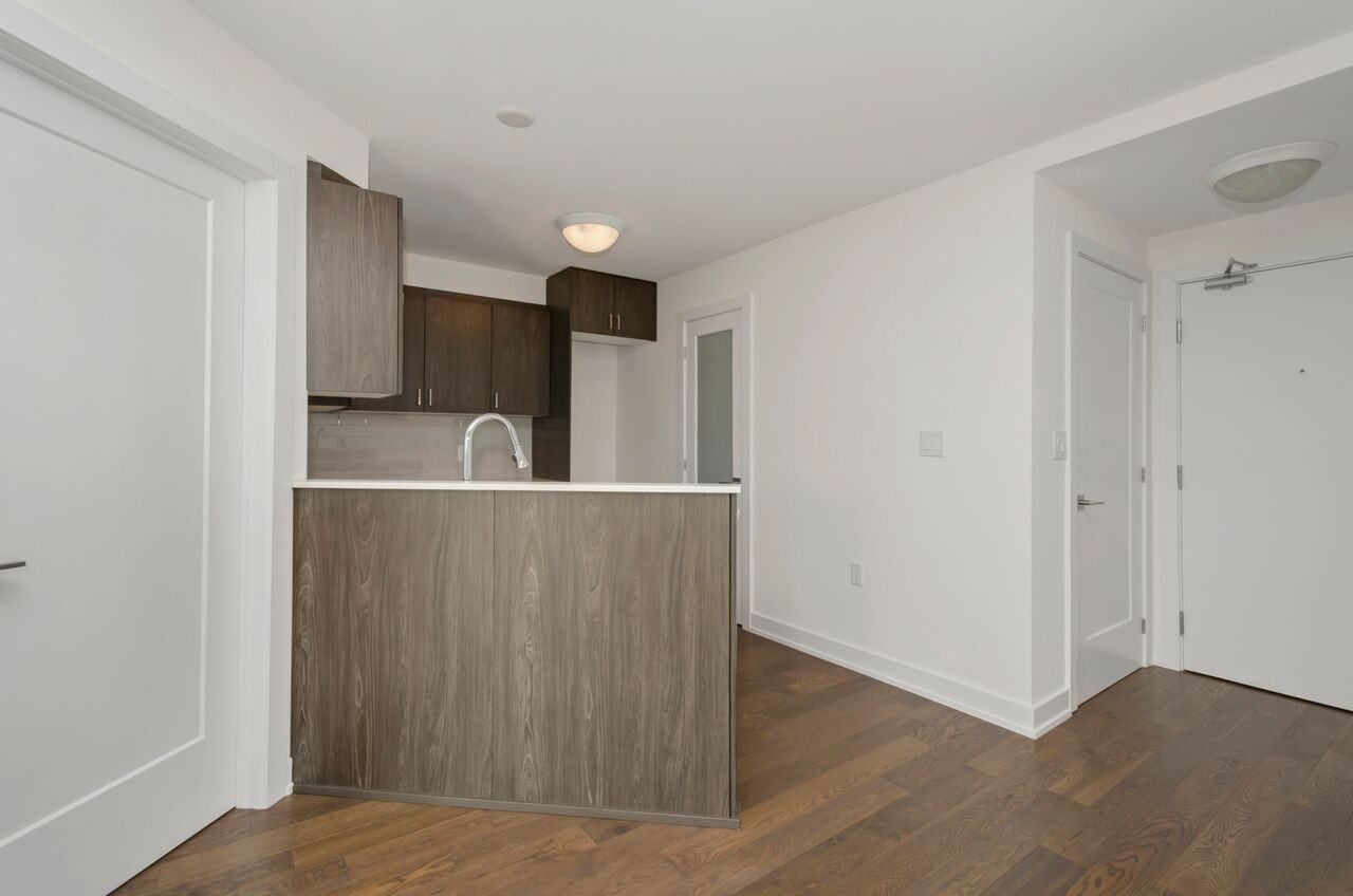 55 Talos - Photo 5 of 16