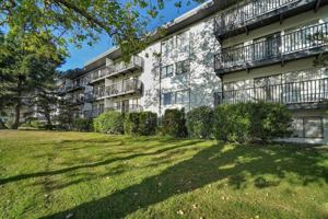 featured image of 3187 Shelbourne St