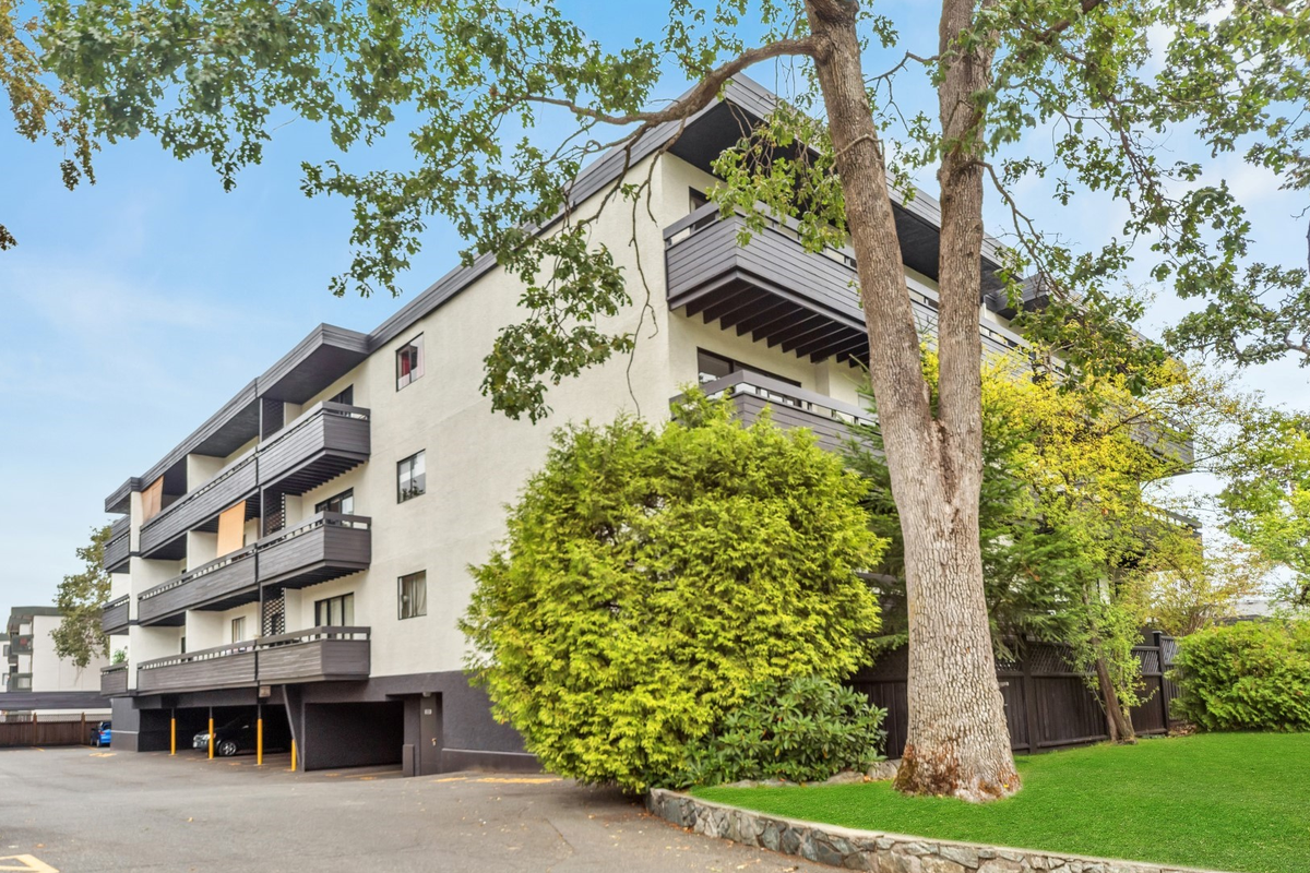 McKenzie Woods Apartments - Photo 7 of 30