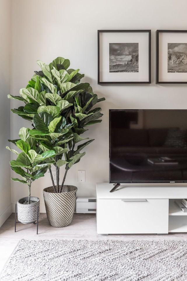 Cedar Green Apartments - Photo 7 of 34