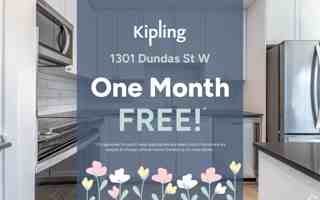 featured image of 1301 Dundas St W