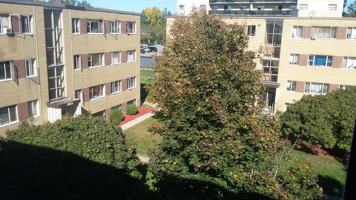 featured image of 799 2035, 2043 & 2049 Prospect Street & 799 Robinson Street