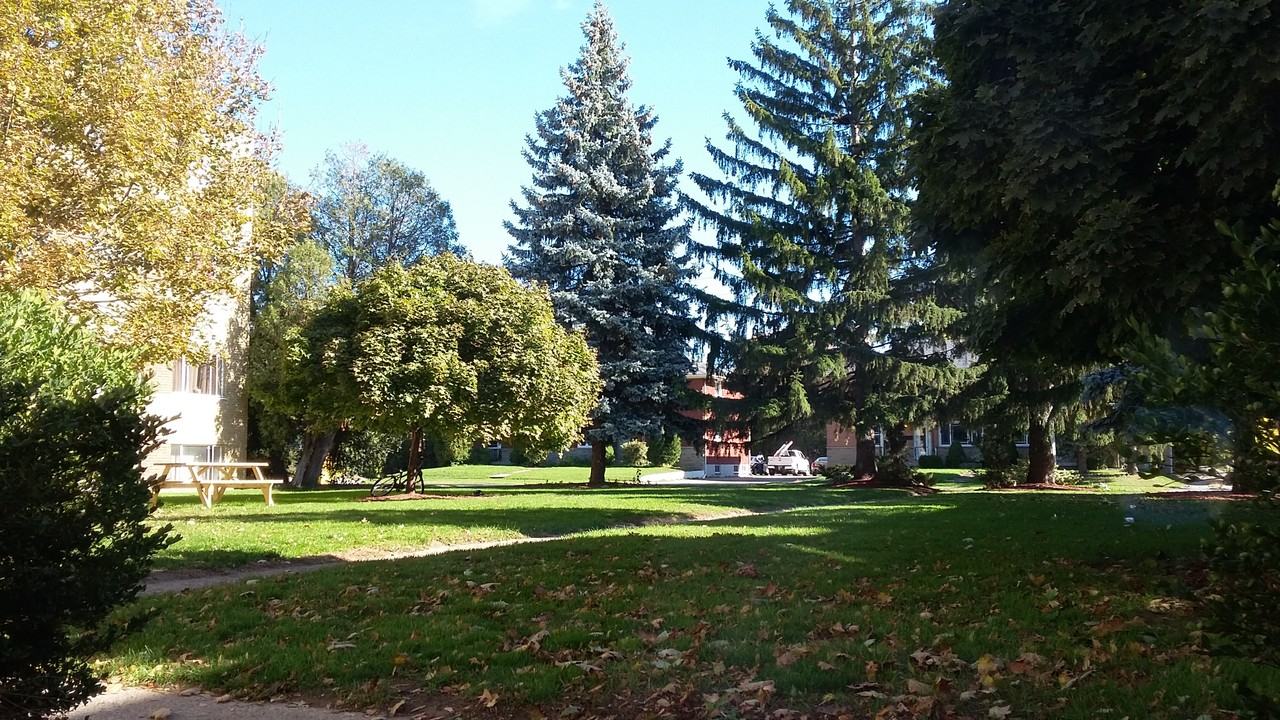 2035, 2043, & 2049 Prospect Street & 799 Robinson Street, Burlington - Photo 3 of 3