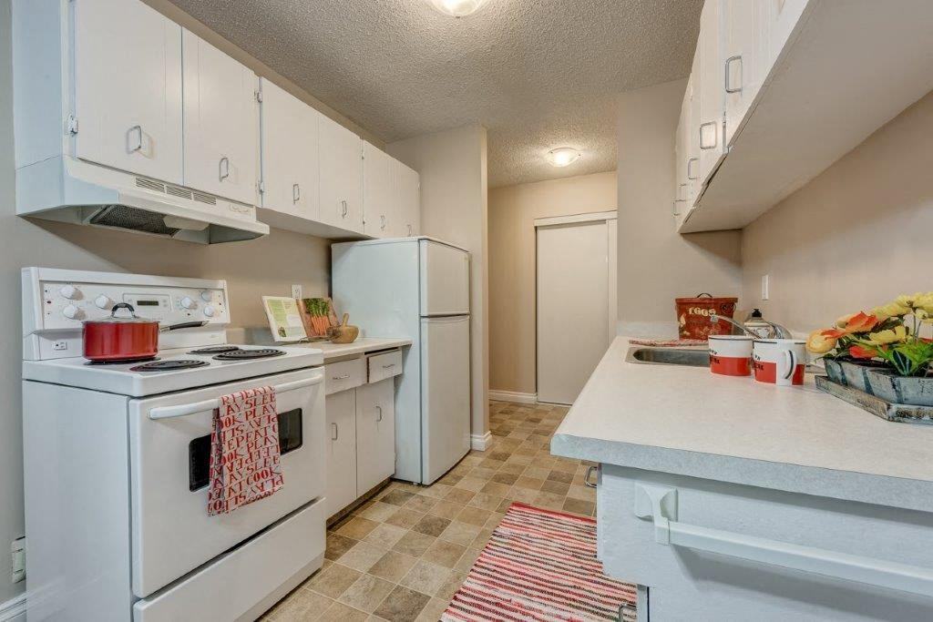 Mountainview Apartments - Photo 7 of 11