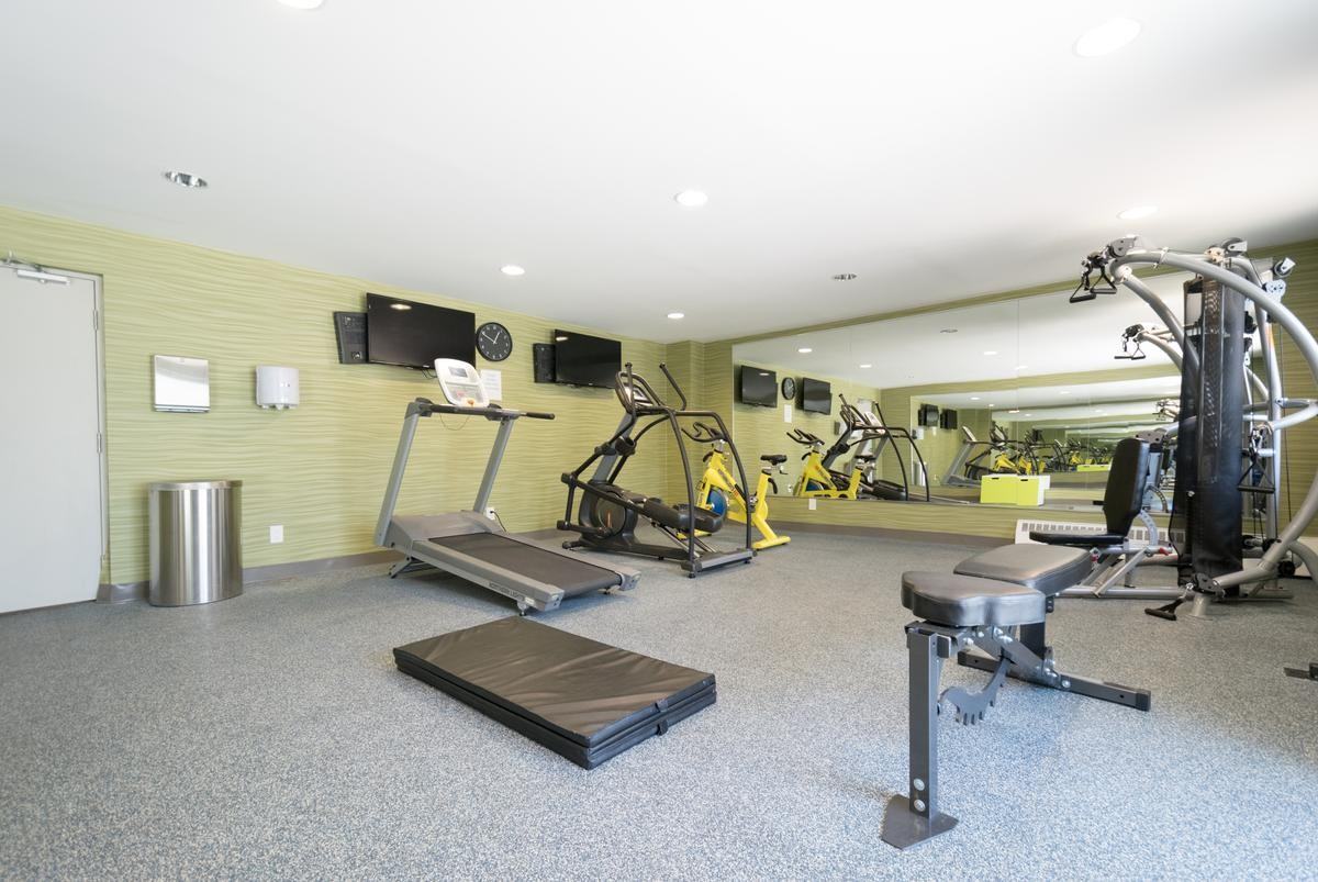 1315 Silver Spear Road - Photo 7 of 10