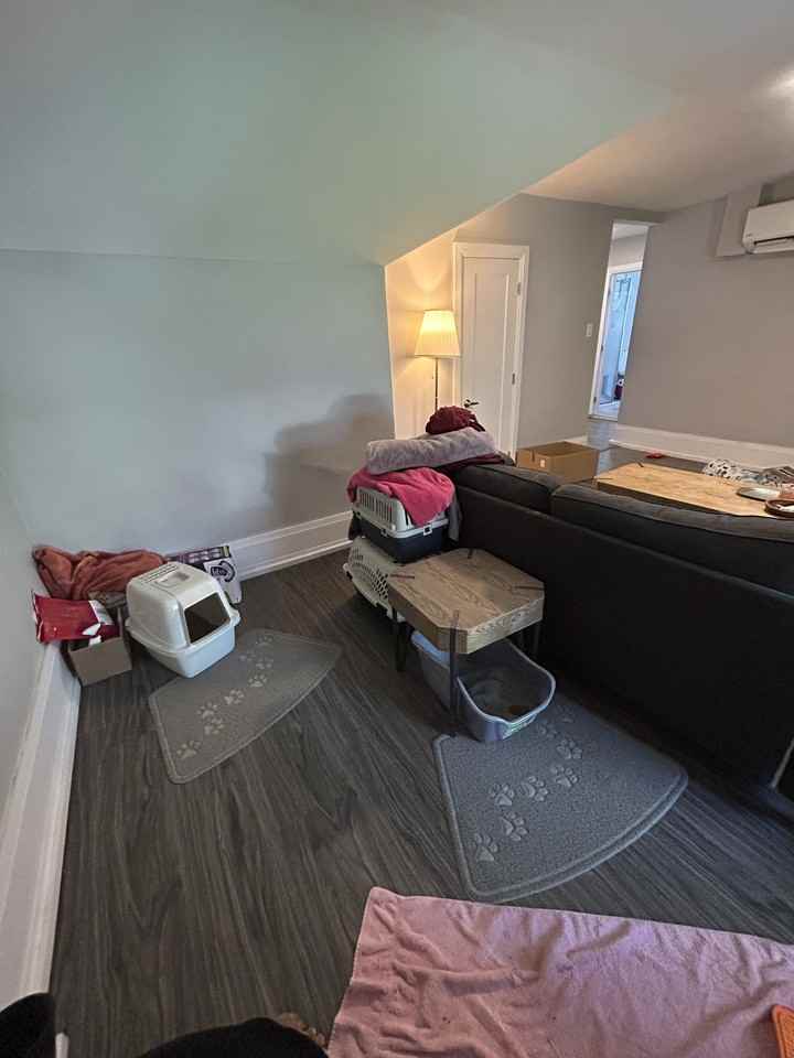 6 Regent Street - 3 - Photo 6 of 21