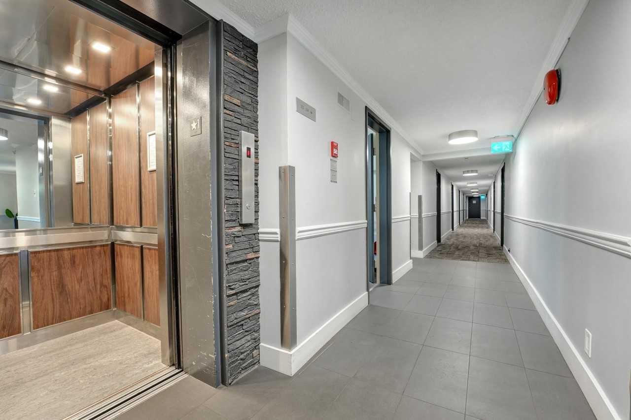 Mount Benson Arms - Photo 4 of 18