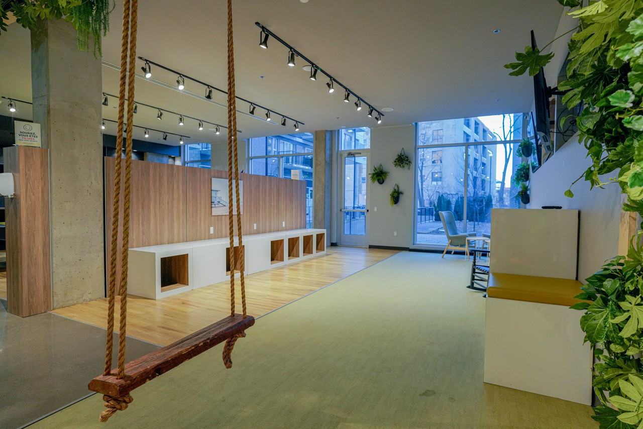 2542 Place Pierre-Falardeau - Photo 3 of 50