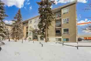 4290-4324 Boul. Métropolitain - Photo 1 of 1