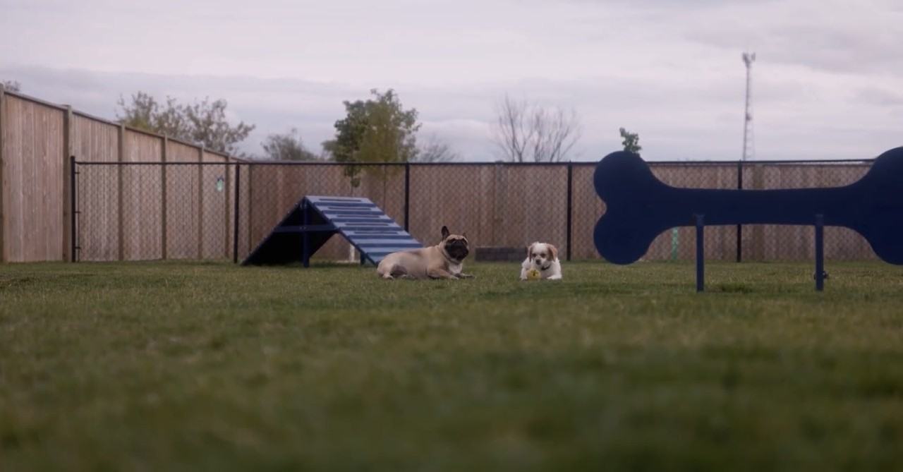 Seine River Crossing Road - Photo 3 of 50