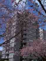 2020 Comox Street - Photo 1 of 1