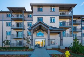 featured image of 2801 43 Ave