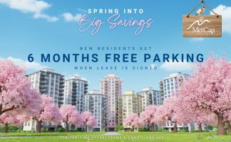 featured image of 175 Park St