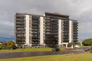 featured image of 84 Runnymede Rd