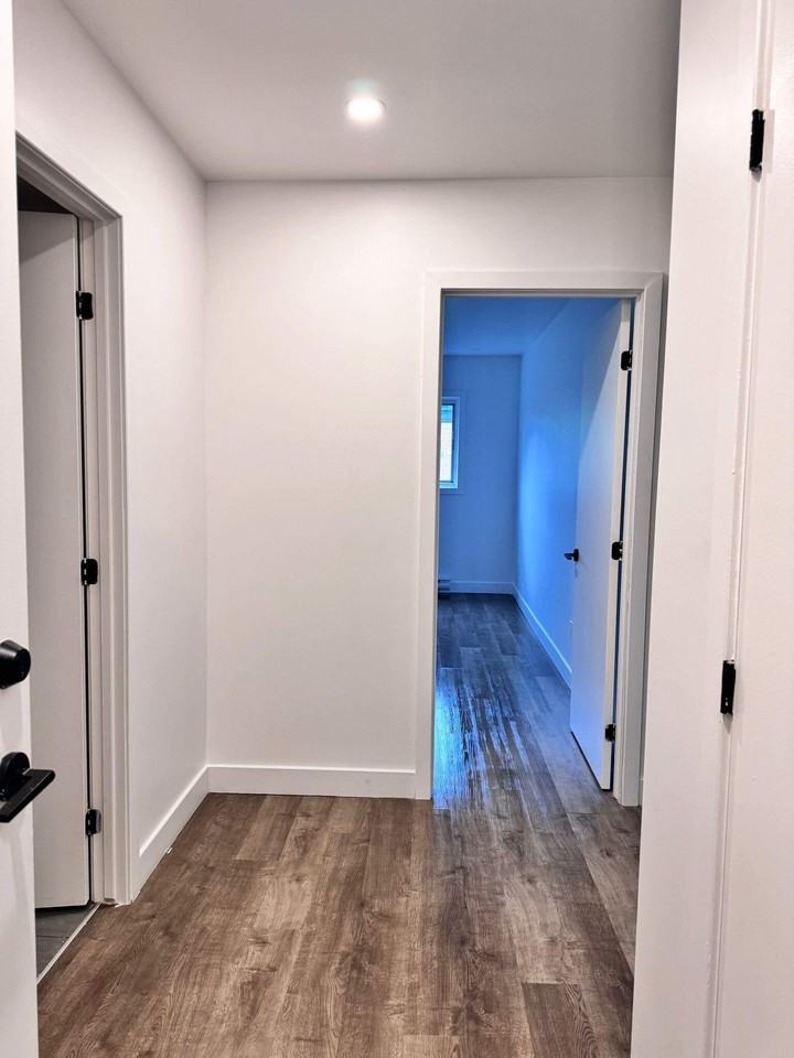 4295 Hochelaga - Photo 7 of 30