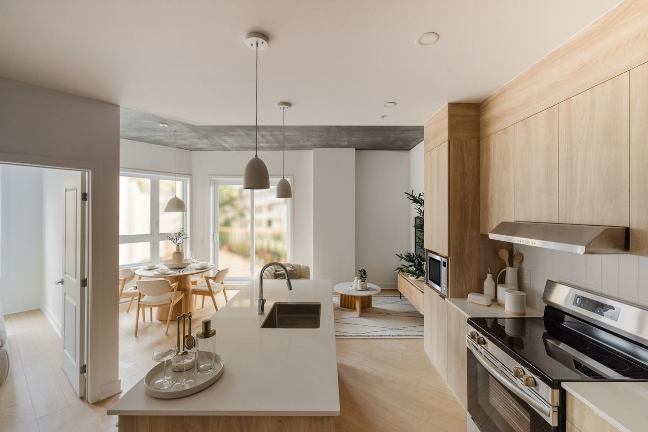 7300 Rue Saint-Jacques — photo 3