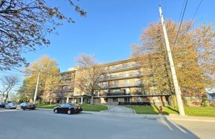 featured image of 293 Upper Wentworth St