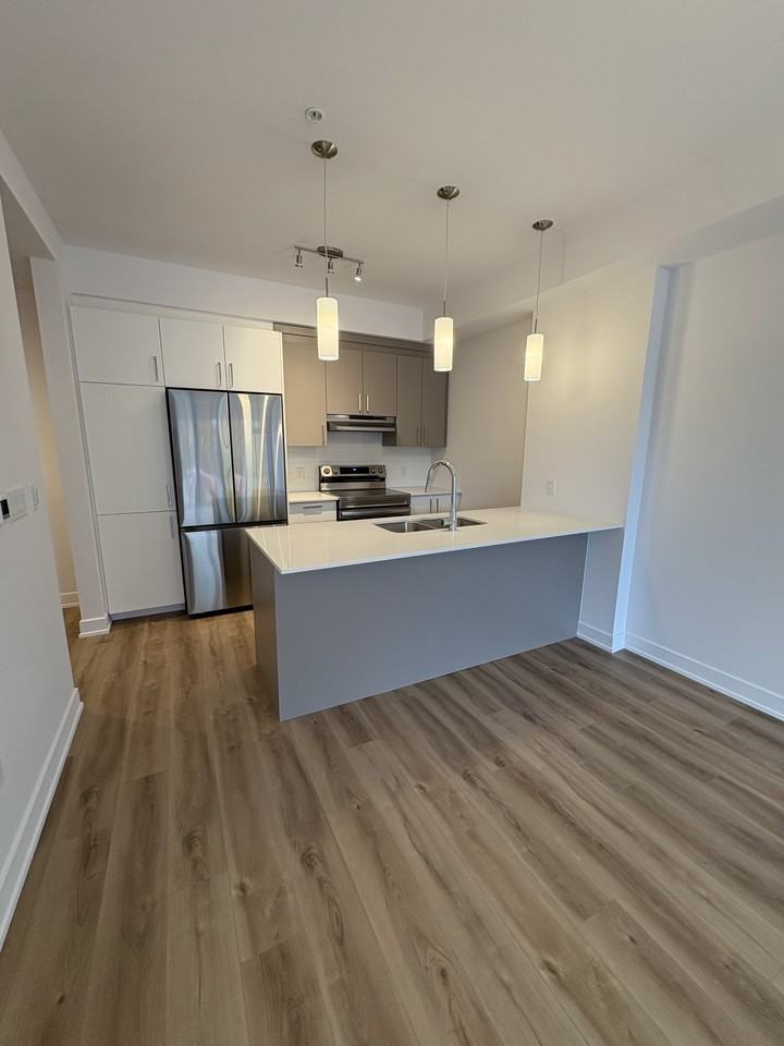 70 Rue Nancy-Elliott — photo 1
