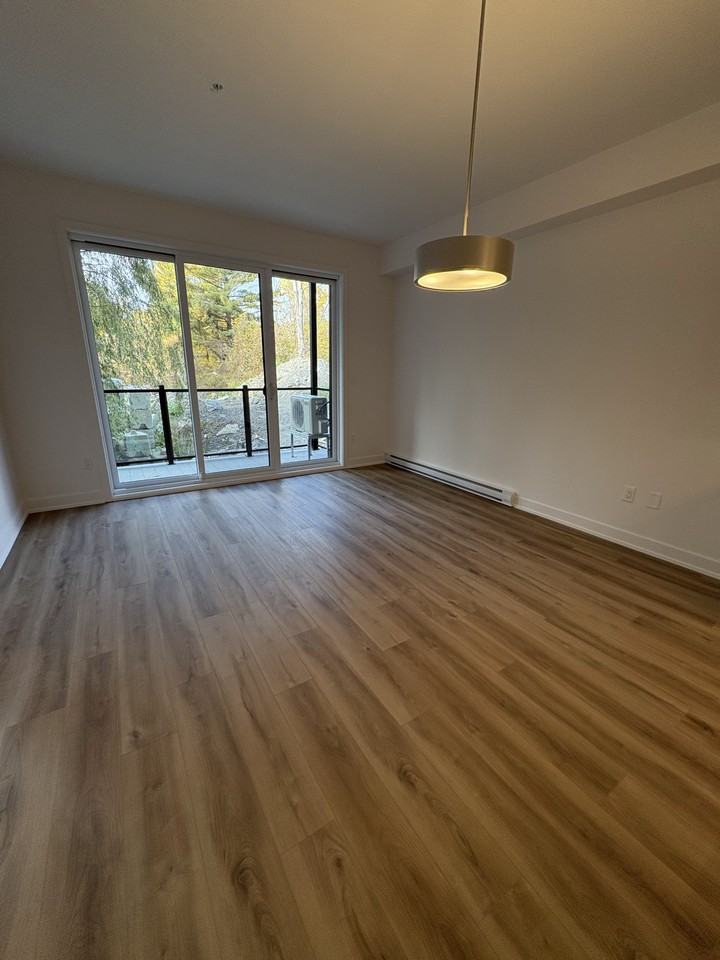 70 Rue Nancy-Elliott — photo 2