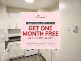 featured image of 11 Paige Plaza