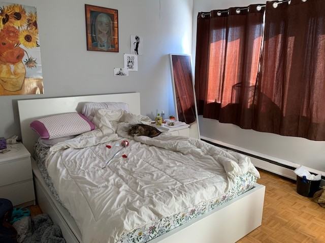 55 Sweetland Ave. - Photo 7 of 12