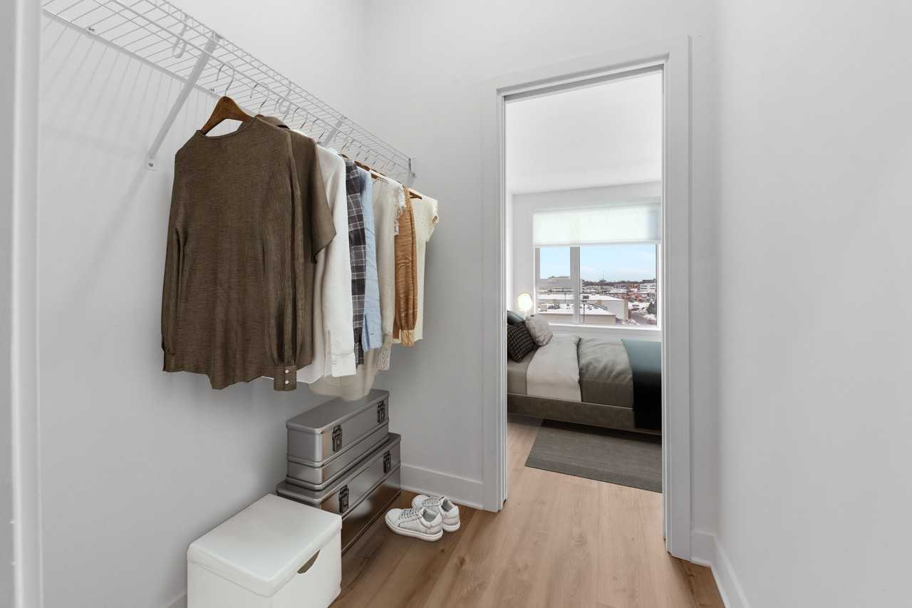 Evolution - Photo 5 of 14