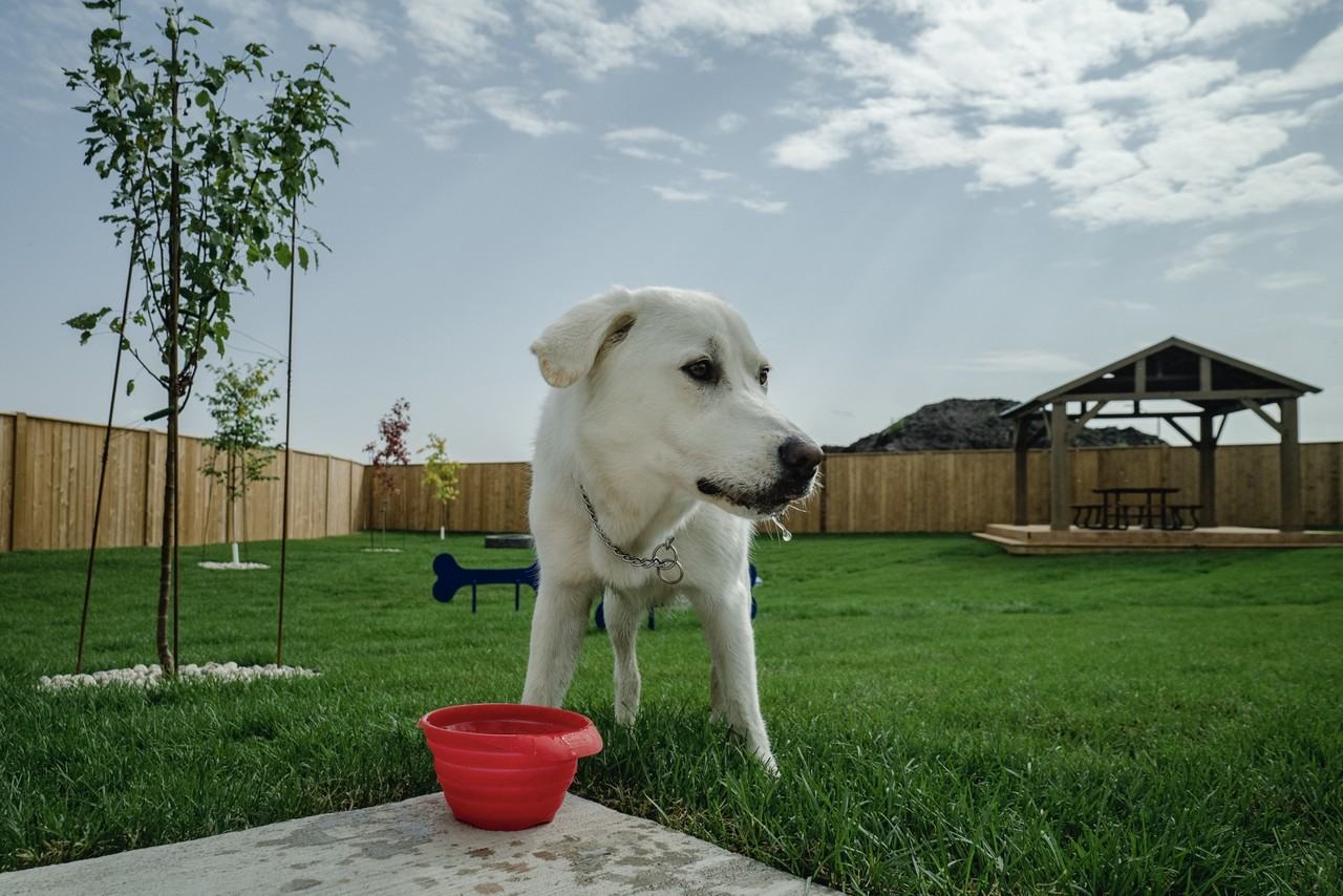 64 Sand Piper Trail N - Photo 3 of 50