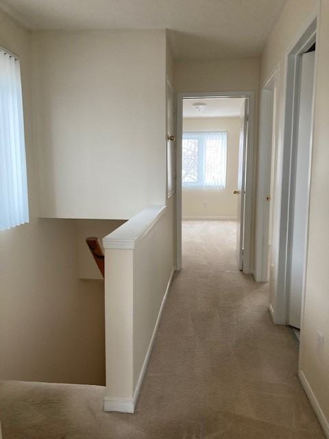 Daniels Gateway, Pleasantview Walk - Photo 5 of 38